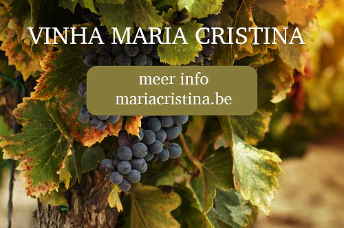 Meer info op mariacristina.be
